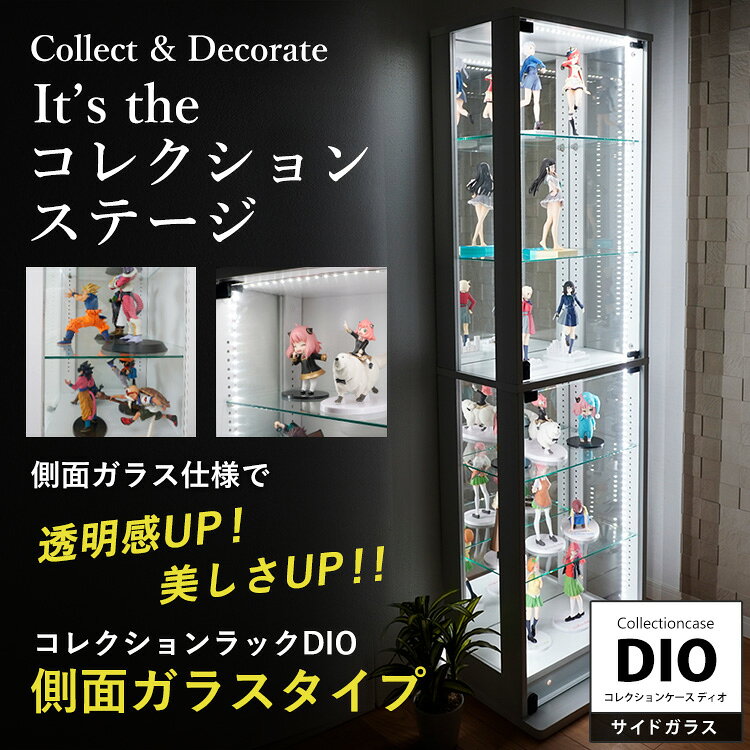 地球家具 コレクションラック DIO ディオ ...の紹介画像3