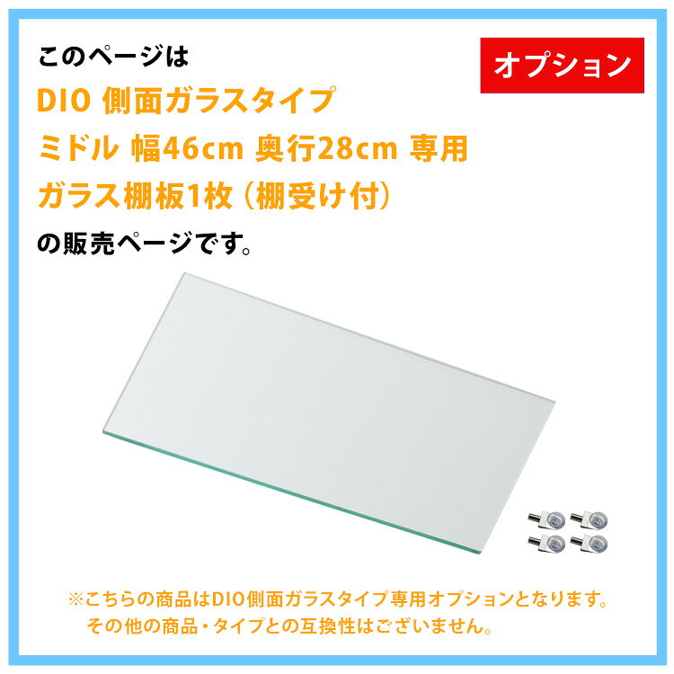 地球家具 コレクションラック DIO ディオ ...の紹介画像2