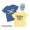 【販売中】ブルークロス2018サマーセットパック(BLUE ...