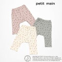 (24aw)petit main (プティマイン)【ピーターラビット】総柄レギンス-3548(70-80cm)【メール便OK】