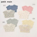 petit main (プティマイン)【オーガニック】ボディースーツ-1504 (70-80cm)【メール便OK】