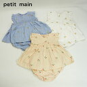 (20OFF)petit main iveB}CjyRۖhLz`F[hイZbgAbv-2535i80cmjy[OKz