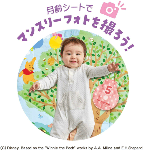 ディズニー てあそびいっぱい! おうちにへんしんジム くまのプーさん【タカラトミー】ベビージム　プレイマット 3