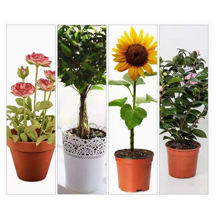 3*3M ���åѡ��դ� ���� ����ͥå� ��ʪ�ݸ��� �ե����ʡ��դ� ��Ļ�ͥå� �٥��� �� ȭ������ ��ں��� ����ѥͥå� ��ʪ�ݸ�С� DIY �̼��� �ߤ��� �����ڱ� ���� �ڱ�ץ�󥿡��� 2.5*2.5M