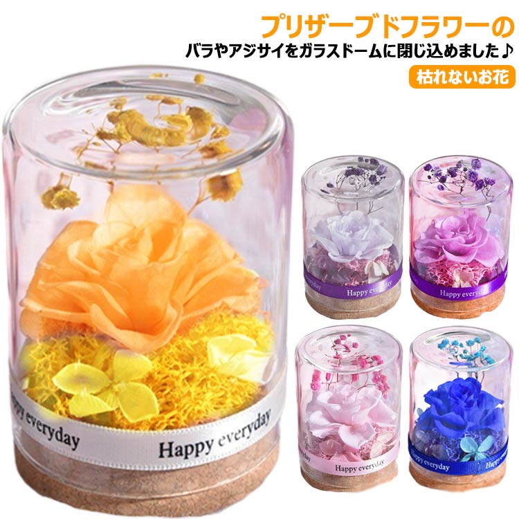 プリザーブドフラワー ガラスドーム ギフト 花束 バラ プレゼント 枯れないお花 ボトルフラワー プリザーブドフラワー 誕生日プレゼント お祝い 母の日 彼女 妻 プレゼント 誕生日 結婚祝い フラワー インテリア 縁起物 かわいい おしゃれ お見舞い