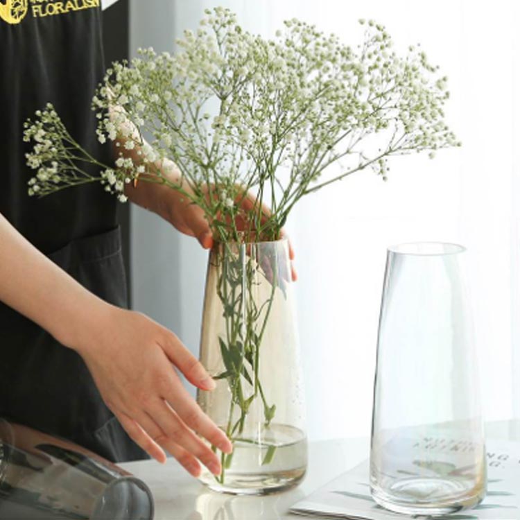 フラワーベース 花瓶 おしゃれ ガラス 一輪挿し 生花 ドライフラワー 水耕栽培 北欧 おしゃれ フラワーベース ガラス 花瓶 花びん 透明 シンプル ナチュラル インテリア リビング 寝室 玄関 書斎 窓辺 新生活 母の日 カフェ プレゼント ギフト [3]