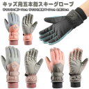 スキーグローブ ジュニア スノーボードグローブ スノーボード スノーボーグローブ バイクグローブ 手袋 グローブ 5本指 五本指 スキー スノボ グローブ 滑り...