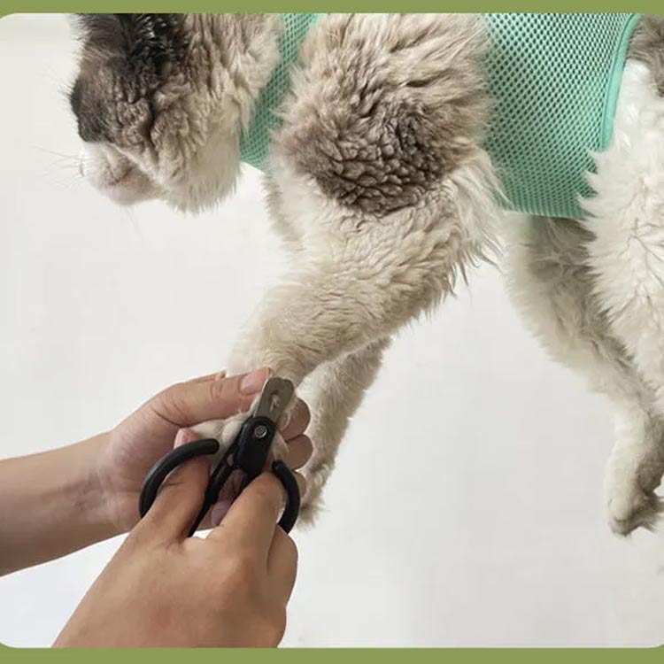 �� �ϥ��å� �ڥå� ���� ���� �ϥ��å� ���ݽ� ���롼�ߥ� ǭ �ͥ� ���� �ߤ�夲 ��å��� �ϥ��å� �ϡ��ͥ� ˽���ɻ� ���ڤ� �����ס� �ȥ�ߥ� �̵��� ��«�Хå� ǭ S���եå��դ� ���� �ڥåȥ����� �ڥå����� ������ �ڥå�����