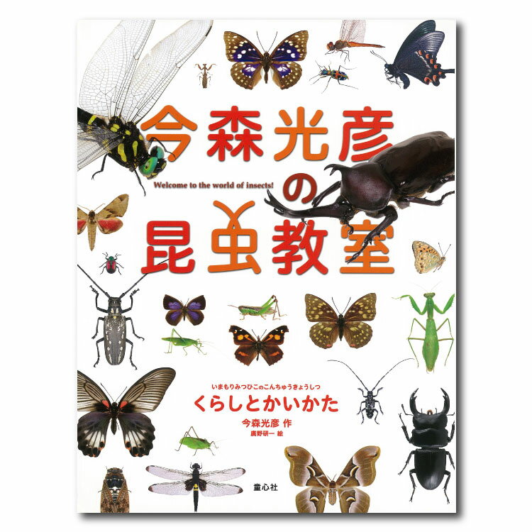 今森光彦の昆虫教室　くらしとかいかた絵本 本 昆虫 飼い方 クワガタムシ カブトムシ コオロギ ダンゴムシ 写真絵本 図鑑絵本 男の子 子供 こども 小学生 小学1年生 小学2年生 小学 低学年 向け 図書 今森光彦 国内絵本 日本の絵本 児童書 書籍