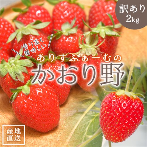 【 訳あり 】 いちご かおり野 ありすふぁーむ 約2kg 送料無料 訳アリ ありすふぁーむ 静岡 イチゴ 苺 訳ありいちご かおりの 農家直送 静岡県 果物 フルーツ 自宅用 美味しい 家庭用 産地直送…