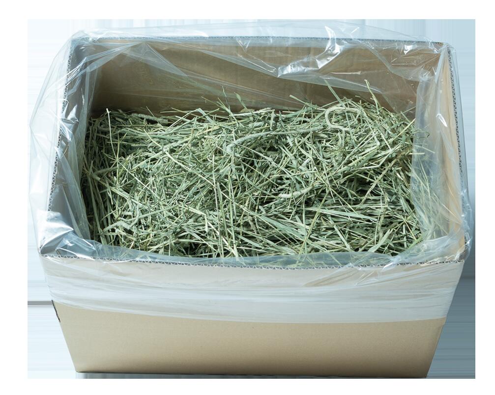 チモシー 1番刈り 牧草 うさぎ 【しんくう基準】シングルプレス・選別品