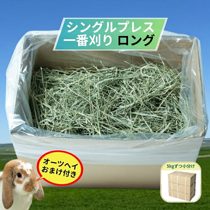 楽天市場】チモシー 10kgの通販