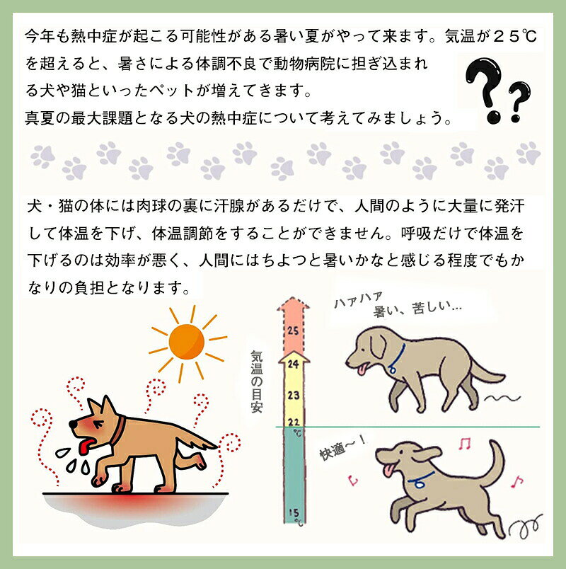 贈り物 即納 ひんやりベスト 熱中症対策 プレゼント ドッグウエア 暑さ対策 夏服ク...