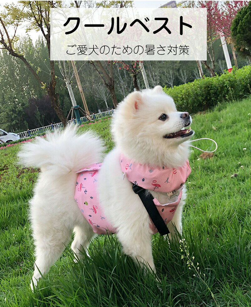 贈り物 即納 ひんやりベスト 熱中症対策 プレゼント ドッグウエア 暑さ対策 夏服ク...