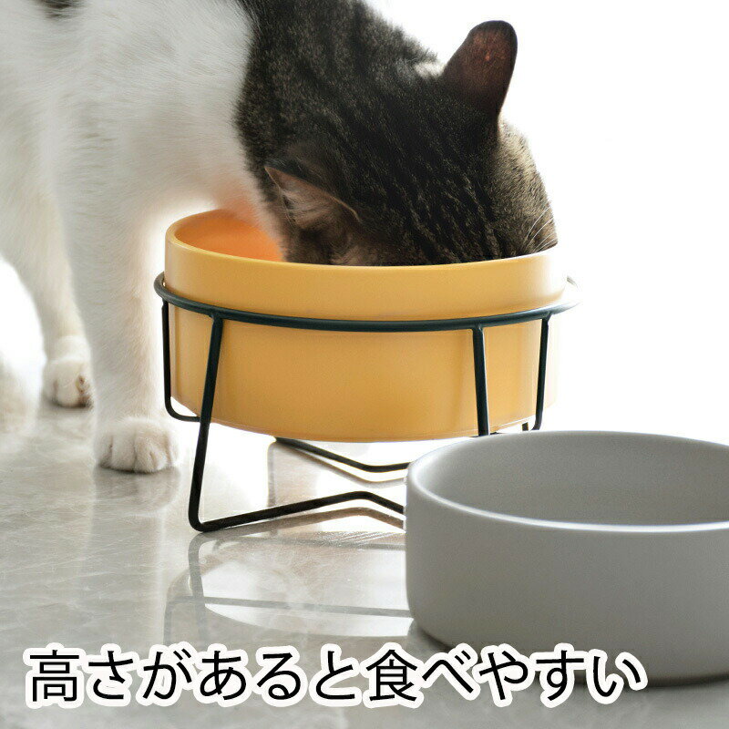 送料無料 ペット ボウル 食器 猫 フ�