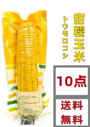 送料無料 ( 10本セット ) 常温保存 日の出 真空 （黄色） 粘玉米　10点　もち とうもろこし 中国産 トウモロコシ 玉米 苞米 ワキシーコーン 農作物　黏玉米 糯玉米