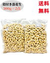 2点セット送料無料 殻付き 落花生 花生米 500g×2点 素煎り 熟花生 中国産 ピーナッツ (帯売花生米) 殻付き 殻つき 殻付 中華食品 帯売花生