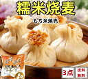 3点セット送料無料 冷凍 江南特製 【 糯米焼売 】 30g×20個入×3点 もち米焼売 シュウマイ 焼売 600g×3点 約20個入り 中国名物(4)