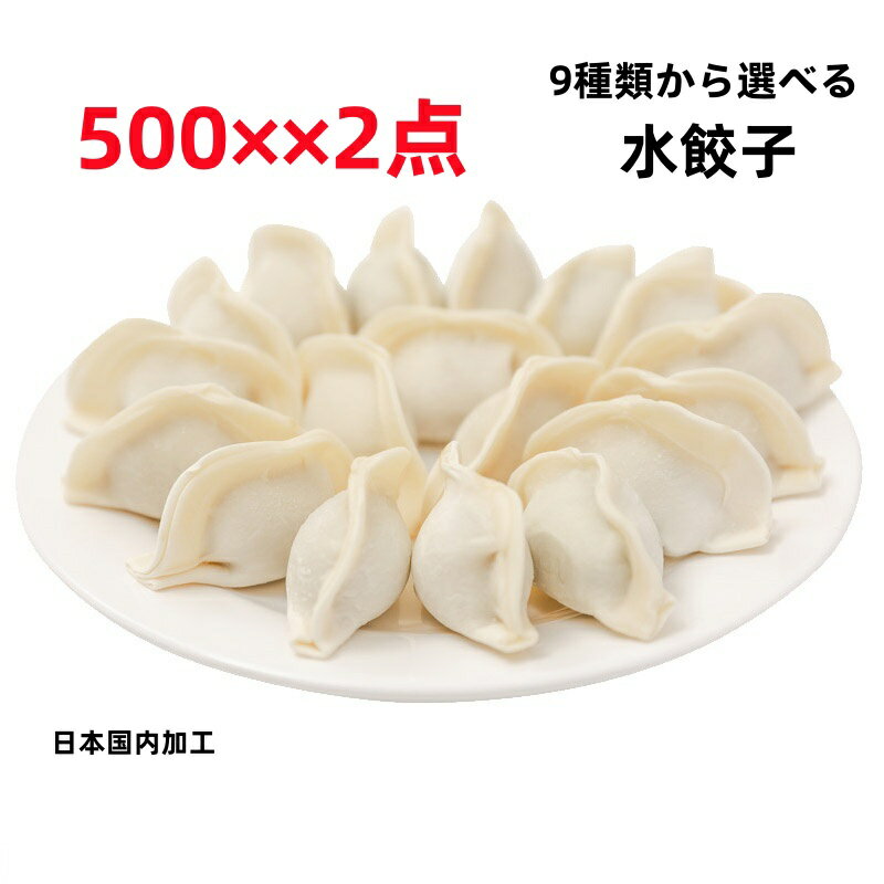 豊栄食品 2点セット 500g×2点 冷凍 水餃子 10種類