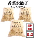 3点セット 送料無料 冷凍 山東香菜水餃子 1000g×3点 シャンツアイ パクチ 水ギョーザ パクチー 餃子ギョウザ 香菜 水餃子 香菜餃子 香菜水餃子