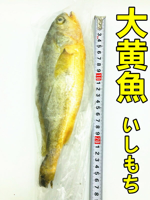 冷凍 【 大黄花魚 】 　大黄魚 いしもち　黄花魚　 200g-350g 　 魚　中華物産 ポイント消化のサムネイル