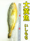 冷凍 【 大黄花魚 】 　大黄魚 いしもち　黄花魚　 200g-350g 　 魚　中華物産 ポイント消化