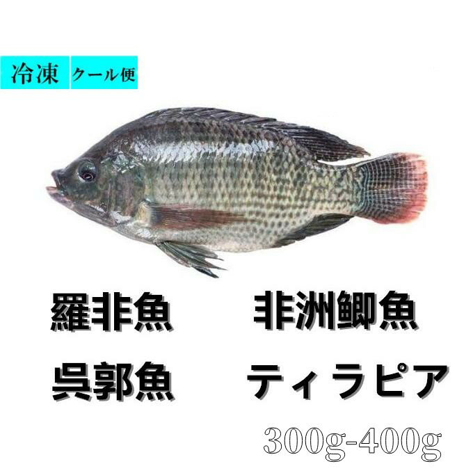 冷凍 羅非魚 呉郭魚 300g-400g　ティラピア 冷凍のみの発送　中華物産 ポイント消化　&#40107;&#40060;