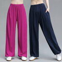 太極拳服 太極拳パンツ 男性 女性 兼用 メンズ レディス トレーニングパンツ ストレッチ 春夏 練習服 【送料無料】