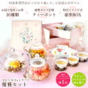 まだ間に合う 母の日 ギフト プレゼント 花 カーネーション 花咲く10種類のお茶とティーポット 詰め合わせ 優雅セット 人気 工芸茶 花茶 内祝い フラワー ジャスミン茶 中国茶 茶器 実用的 送料無料 ははの日 5/10 13時までのご注文で母の日当日にお届け 2