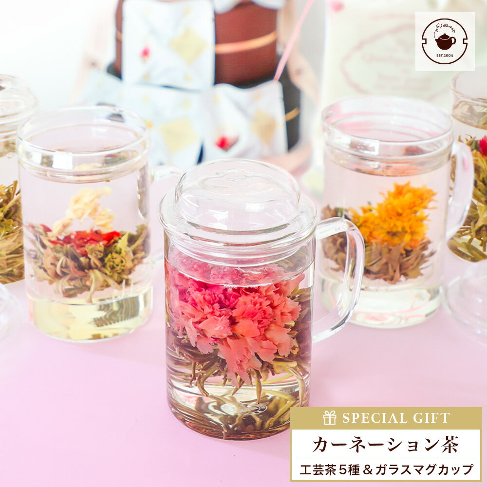 父の日 プレゼント ギフト 花 カーネーション いやしセット 花咲く 工芸茶5種と耐熱ガラスマグカップ 詰め合わせ 花茶 誕生日 内祝い ジャスミン茶 中国茶 人気 実用的 送料無料 ははの日