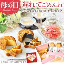 リムテー \遅れてごめんね/ 母の日 ギフト カーネーション 花咲く お茶 工芸茶 10種 月餅 2種 ティーポット付き 宮廷セット お菓子 スイーツ お茶 詰...