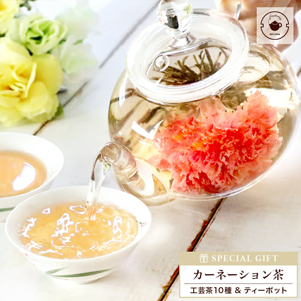 ギフト 優雅セット カーネーション 花 咲く 花茶 工芸茶 10種 ガラス ティーポット フラワー プレゼント 実用的 ジャスミン茶 紅茶 孫