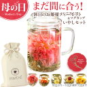 \まだ間に合う/ 母の日 ギフト カーネーション 工芸茶 5種 耐熱ガラスマグカップ付き いやしセット 花 咲く お茶 5種 中国茶 プレゼント ギフト 詰め合わせ 花茶 誕生日 内祝い ジャスミン茶 人気 実用的 送料無料