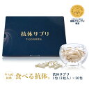 サプリメント サプリ 健康食品 抗体サプリ 90粒(3粒入×30包) 約1か月分 牛IgG 抗体食品 男性 女性 お試し イムノグロブリン ビタミンD 葉酸