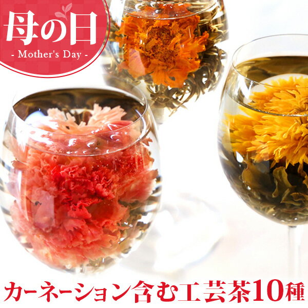 母の日 早割 プレゼント ギフト カーネーション 花茶 フラワーギフト 工芸茶 ジャスミン茶 誕生日プレゼント 女性 女友達 ブルーミングティー バースデー メール便送料無料 new md