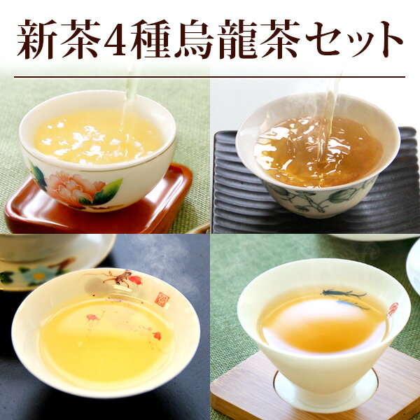 中国茶 新茶4種烏龍茶セット 詰め合わせ 鉄観音 白芽奇蘭 黄金桂 永春佛手 健康 お茶 ネコポス便送料無料のサムネイル