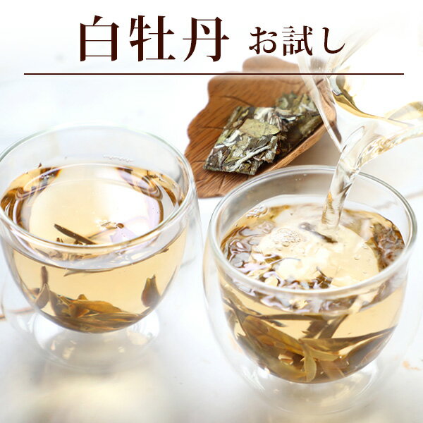 【白牡丹50g(5g×10P)】白茶 ホワイトティー はくぼ