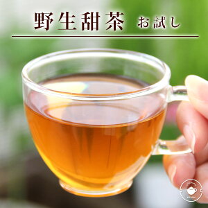 【お茶で花粉症対策】べにふうき、甜茶、ルイボスティーなどおすすめは？