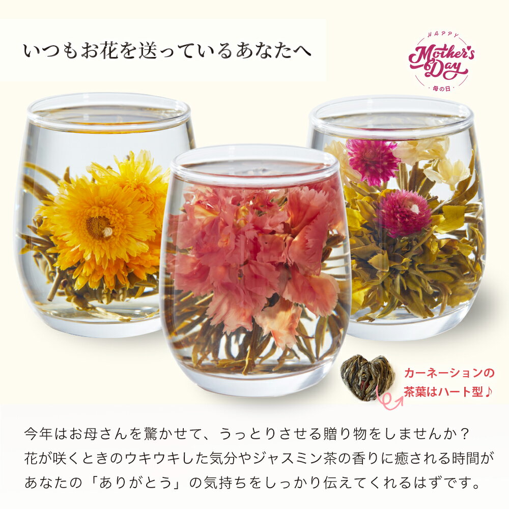 �ۥ磻�ȥǡ� ����� ���ơ� ���ե� �����͡������ �� �餯 ���� ������5�� �ͤ��碌 �ץ쥼��� �ե� ���㥹�ߥ��� �ơ��֥�ե� ´�Ƚˤ� ���ؽˤ� ´�ȼ� �ץ����ե� ����̵�� ������