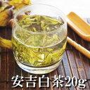 中国緑茶 安吉白茶20g