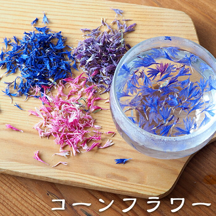 コーンフラワー20g ドライフラワー ハーブティー エディブルフラワー 矢車菊 矢車草 ブルー ピンク パープル
