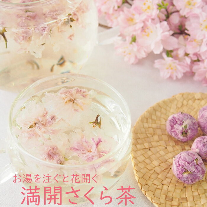 満開さくら茶 5個 or ティーポット付き 桜 桜茶 花茶 フラワーティー 工芸茶 合格祈願 合格祝い 春 桜湯 サクラ お花見 サプライズ ノンカフェイン