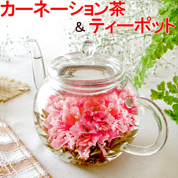 カーネーション茶 お花のつぼみと