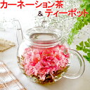 お花のつぼみとティーポット 送料無料 花 カーネーション茶 工芸茶 母の日 プレゼント 実用的 花以外 飲み物 誕生日 …