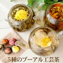 5種のプーアル工芸茶(菊・ジャスミン・ユリ・牡丹・バラ) お花が出てくるお茶 工芸茶 龍珠 5種類入り ネコポス 送料無料　プーアル生茶 工藝茶 龍珠 中国茶 花茶