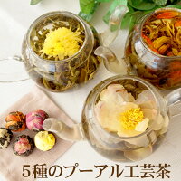 5種のプーアル工芸茶(菊・ジャスミン・ユリ・牡丹・バラ) 工芸茶 龍珠 5種類入り ネコポス 送料無料　プーアル生茶 工藝茶 龍珠 中国茶 花茶