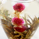 工芸茶 レッドツリー5個