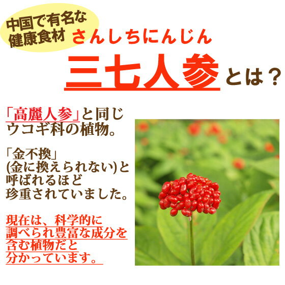 三七(さんしち)人参入り胡麻麦茶70g さんしちにんじん ゴマペプチド入り ゴマ麦茶 粉末茶 パウダー アイスティー