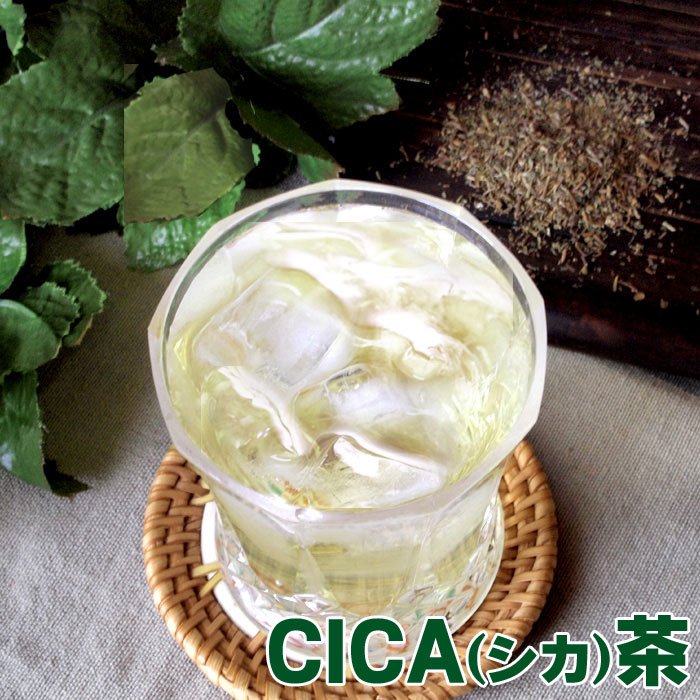 在庫限りで終了 CICA(シカ)茶30包 ティーバッグ ハーブティー ノンカフェイン cica シカ ツボクサ ミントティー ペパーミント イチョウ葉 エイジングケア ゴツコラ ゴーツコラ ハーブティー 飲むcica 美容 肌トラブル 認知機能