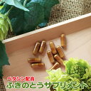 ふきのとうサプリメント90粒